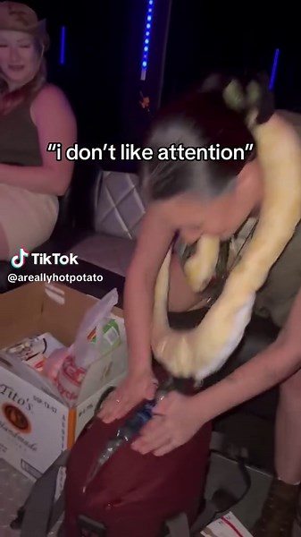 making sure all of the surfsides & white claws are alive n’ healthy | surfing