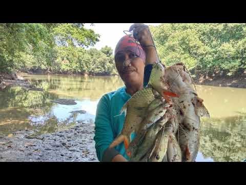 wild fishing borneo//Sungai liar Kalimantan memang sarang ikan babon