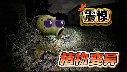 植物们怎么变异了？凶手竟然也是植物？