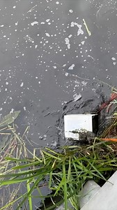 4.3M views · 12K reactions | Magnet Fishing after the Police Search a Criminal Hotspot! #magnetfishing #fishing #treasure | Bondi Treasure Hunter | Facebook