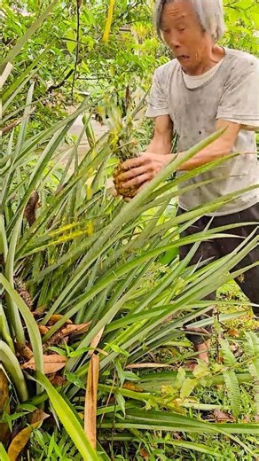 Survival skills: SIMPLE but VERY USEFUL with pineapple #shorts