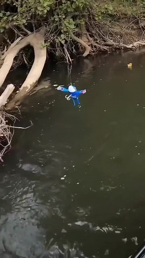 Topwater Bait Fishing for Bass: Expert Tips and Techniques