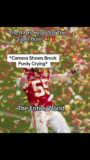 The 9ers Fall Short in the Super Bowl