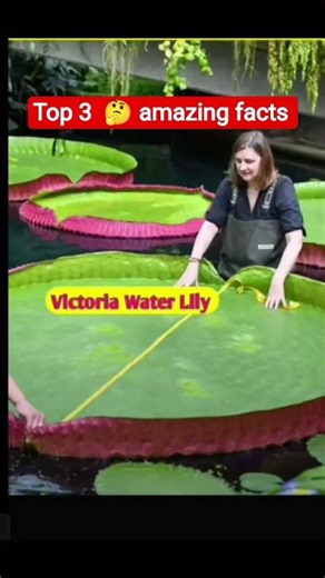 Top 3 amazing facts in hindi, yash ke experiment, shorts, top 3 amazing facts#viral #trending#shorts