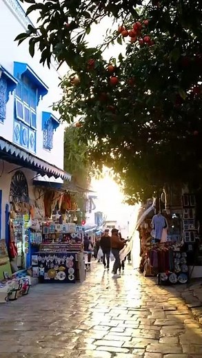 Strolling through Moroccan Market, Morocco tours from Morocco T. 🇲🇦