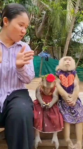 9.3K views · 409 reactions | Surprise before cooking | YaYa Note | Facebook