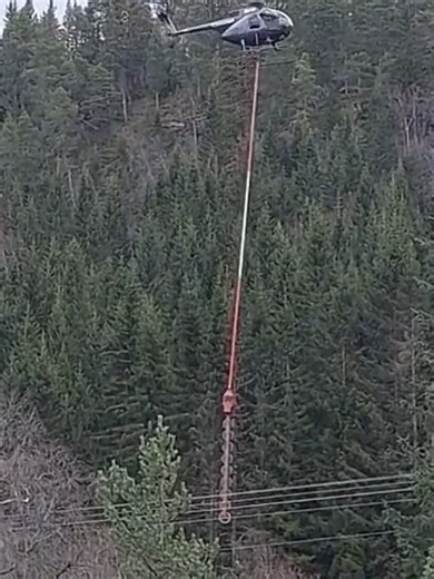 Video của ideas_fox (@ideas_fox) về tigercat cutting trees