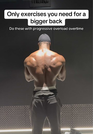 Effective Back Workout Exercises for Muscle Growth