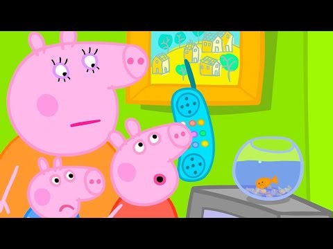 Goldie The Fish Is Unwell 🐠 | Peppa Pig Official Full Episodes