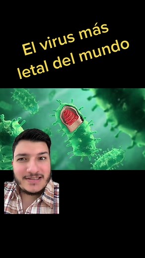 Deadly Virus Outbreak: Understanding Lyssavirus and Its Lethal Impact