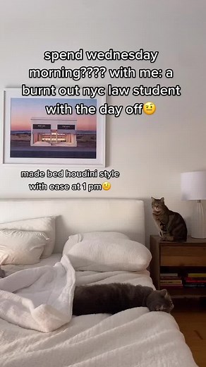 A Day in the Life of a Burnt Out Law Student | Callie Wilson