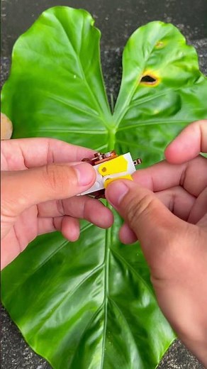 How to build lego the Duck Cute #lego #shorts