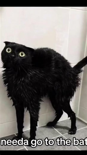 IM BATMAN #batman #shorts