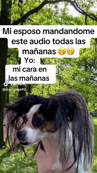 #CapCut#meme#mi esposo me ama🥰🥰