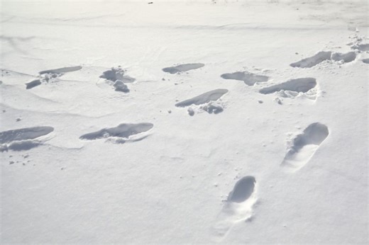 Snowy footprints lead police to Kenmore gun shop burglary attempt