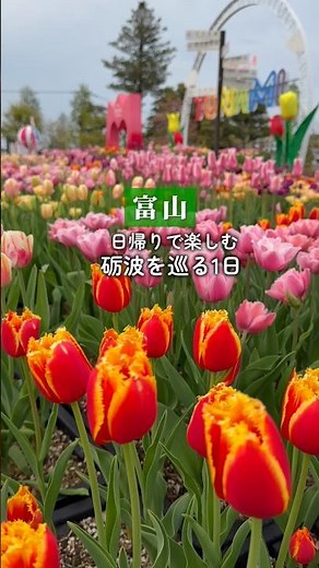 富山 日帰りで巡る#富山観光