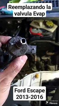 Replacing the Evap Valve on a 2015 Ford Escape
