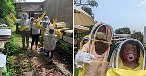 Bee Farm In Singapore: 4 Kid-Friendly Bee Farms You Can Visit | theAsianparent Singapore