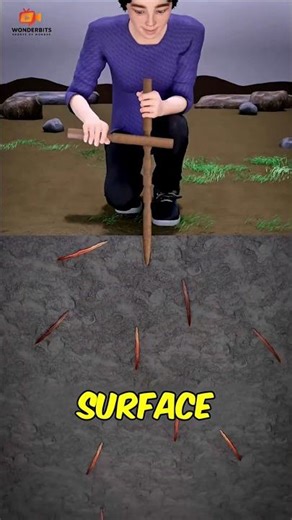 Why Do Worms Rise When You Rub a Stick in the Dirt?