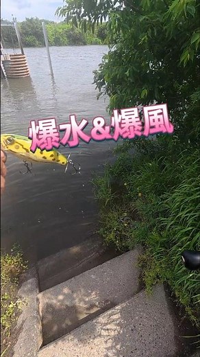 2026.5.4恐怖の爆水爆風！雰囲気は最高！宇治川ブラックバス釣り！ #fishing #釣り #bassfishing