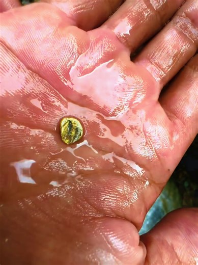 Discover Quartz-Rich Rocks for Gold Investment