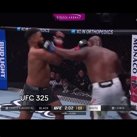 UFC 325 Knockouts: Top Finishes of the Event