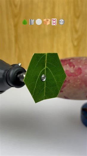 Guess Which Material Can Cut a Potato? 🥔 #oddlysatisfying #crushing #experiment #asmrvideo #scienceexperiment | MR Experiments