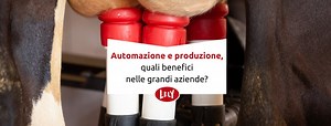 12 reactions | La Soc. Coop. Agr. Agrisfera, 400 vacche in lattazione...