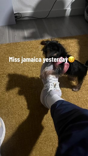 #🇯🇲 Jamaica i am hereee !!