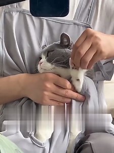 Cat Sling Carrier, Dog Carrying Bag Apron, Small Medium Pet Carrier, Cat Sling Accompany Carrier Bag Hands Free, Soft and Breathable for Kittens and Puppies