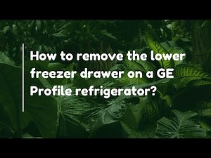 How to remove the lower freezer drawer on a GE Profile refrigerator?