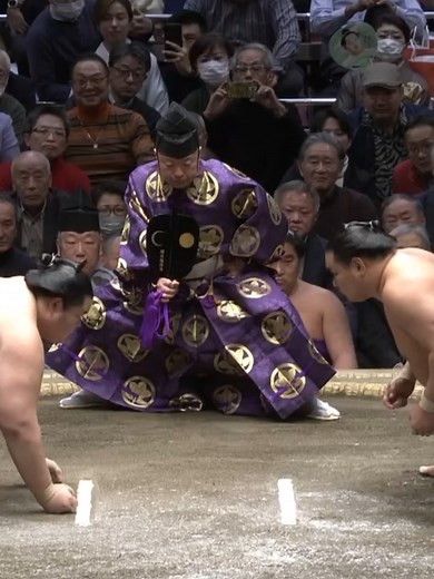 豊昇龍 横綱昇進おめでとうございます㊗️千秋楽の三番は伝説！琴櫻、金峰山、王鵬戦をまとめて😌どんな横綱になるか楽しみだなぁ☺️ #豊昇龍 #横綱昇進