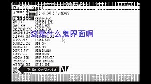 【系统】微软对图形界面的大胆尝试——Windows 1.0评测
