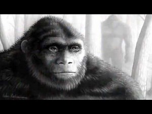 LOST TAPES: Southern Sasquatch