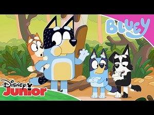 A Wild Adventure 🌲 | Bluey 💙 | Disney Junior Arabia