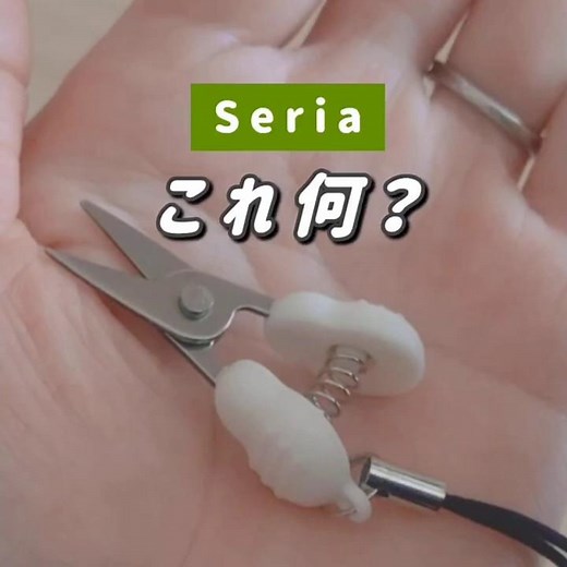 これ、何だと思う？小さいのに使えるミニハサミ✂️ #100均 #セリア #購入品