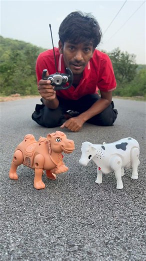Rc camel vs cow toy testing #shorts
