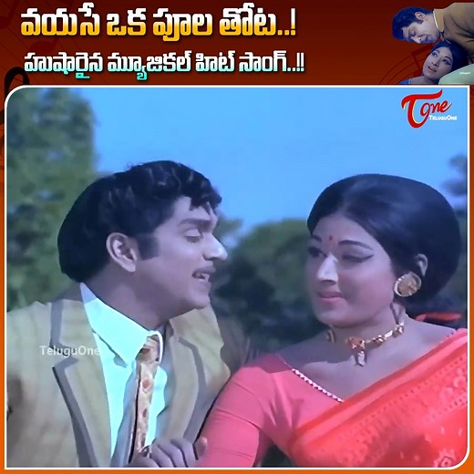 Experience the magical chemistry of the legendary duo Akkineni Nageswara Rao (ANR) and Vanisri in the evergreen super hit song “Vayase Oka Poola Thota” from the classic Telugu movie “Vichitra Bandham”. This melodious track, presented in stunning 4K quality, captures youthful romance, charm, and energy with timeless visuals and soulful music. Relive the golden era of Telugu cinema with this full josh romantic hit that remains a fan favorite across generations. #ANR #Vanisri Starring : Akkineni na