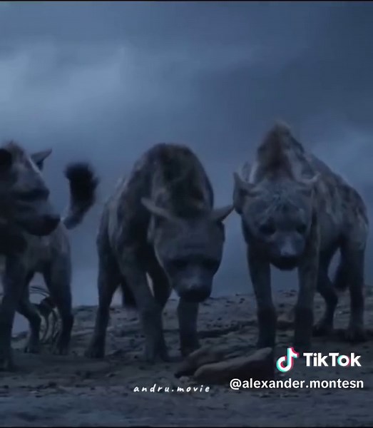 Alexander montes on TikTok