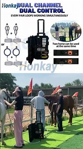 How the dual control PEMF machine work?