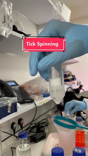 Tick Spinning Footage: A Unique Science Perspective