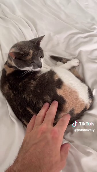 Light Sleepers: Understanding Your Sleep Patterns