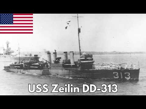 USS Zeilin (DD-313): The Destroyer That Survived Disaster & Served the Fleet
