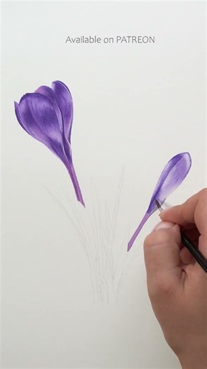 Crocus flower watercolour painting TUTORIAL with YouTube membership