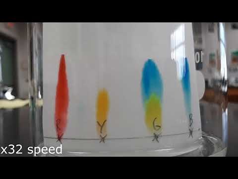 Food coloring chromatography