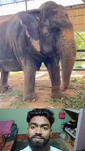 8.3K views · 194 reactions | Bihar Wala Chandan on Reels | Facebook