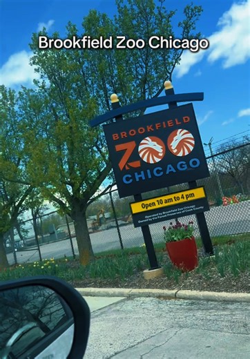 Brookfield Zoo: Chicago Day Trip Must-See
