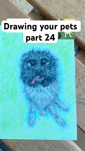 Drawing your pets part 24: shimmeryart on tt