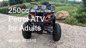 Real Product China ATV Adult Quad Bike 250cc Petrol ATV 250 on Sale | Yang Emily