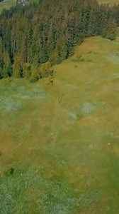 Coming Soon - New for 2026 #sensas #sensasuk #2026 | Sensas UK